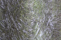 Llidiart Y Parc fibreglass roof work